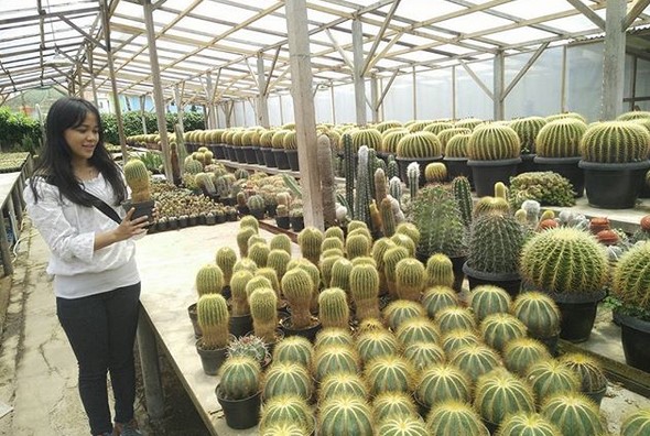 Rumah Bunga Rizal Yang Mewakili Keindahan Kabupaten Bandung 2