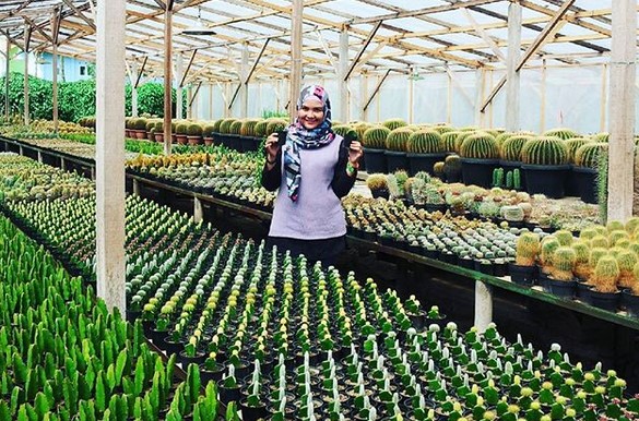 Rumah Bunga Rizal Yang Mewakili Keindahan Kabupaten Bandung 4