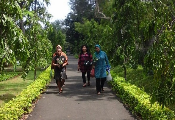 Wisata Unik Nan Edukatif? Taman Djamoe Indonesia Solusinya 10