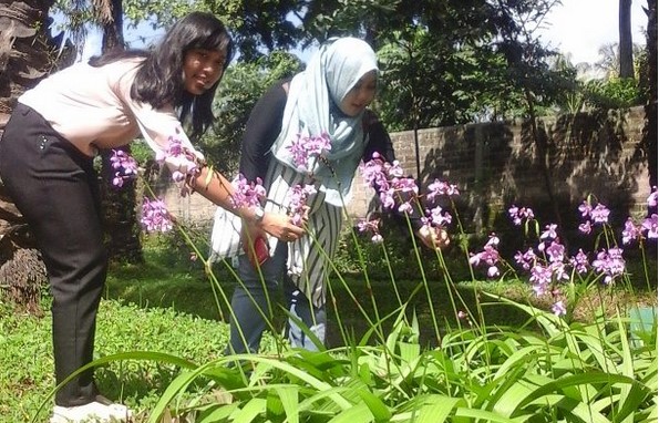 Wisata Unik Nan Edukatif? Taman Djamoe Indonesia Solusinya 6