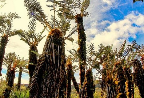 Surga Tersembunyi di Tanah Papua, Taman Nasional Lorentz 9