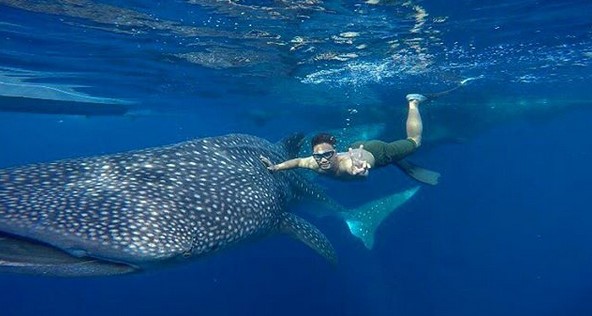 Taman Nasional Teluk Cendrawasih Yang Jauh dan Susah, Tetapi Menjadi Impian Para Penyelam Dunia 7 Taman Nasional Teluk Cendrawasih Yang Jauh dan Susah, Tetapi Menjadi Impian Para Penyelam Dunia 7