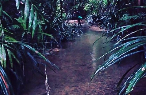 Asyiknya Melakukan “Bird Watching” di Taman Wisata Alam Sorong Papua Barat 4 Asyiknya Melakukan “Bird Watching” di Taman Wisata Alam Sorong Papua Barat 4