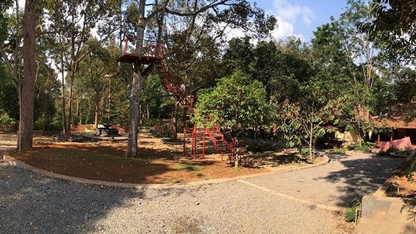 Variatifnya Berbagai Macam Durian di Lokasi Wisata Watu Simbar Semarang 2