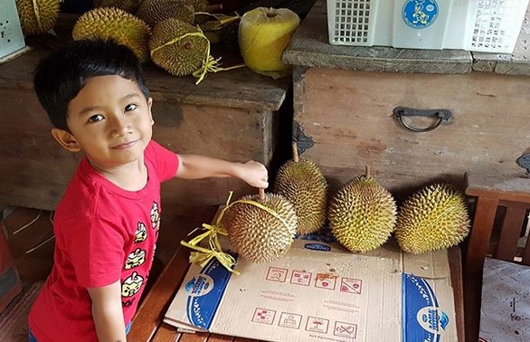 Variatifnya Berbagai Macam Durian di Lokasi Wisata Watu Simbar Semarang 4