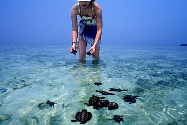 Menikmati Keindahan Pulau Sepa Ala Backpacker, Tips Berikut Wajib Dicoba! 10 Menikmati Keindahan Pulau Sepa Ala Backpacker, Tips Berikut Wajib Dicoba! 10