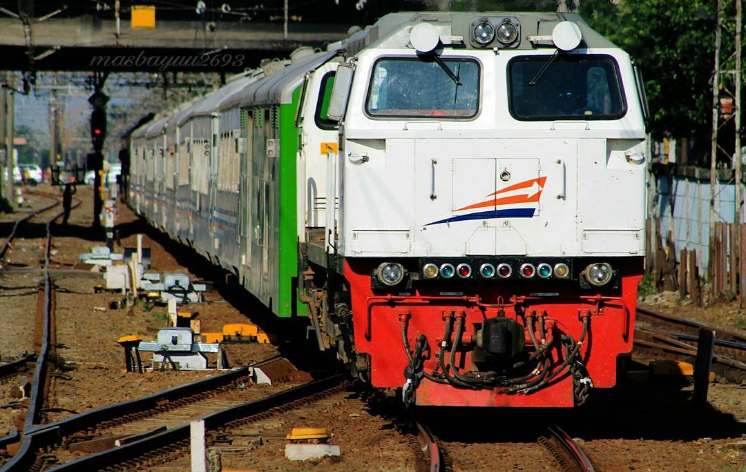 Tour Keluarga ala Backpacker Ke Bali? Ikuti 10 Tips Berikut Ini! 3