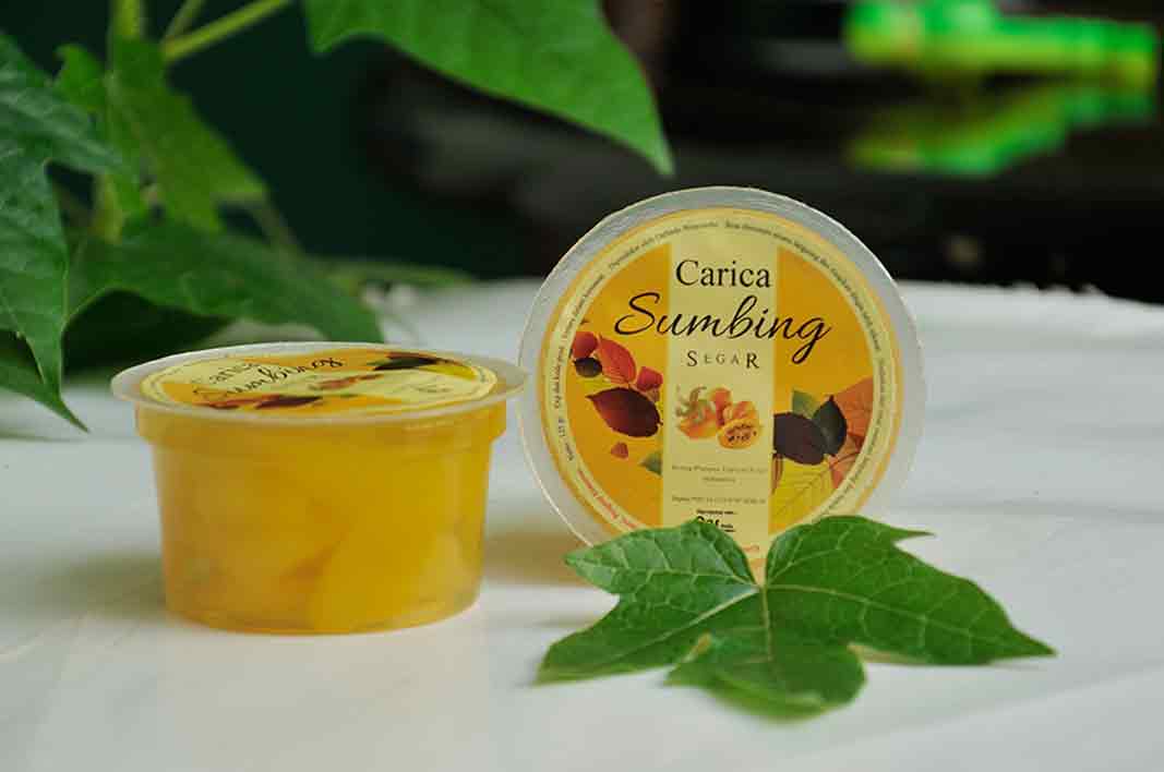 Menjelajah Dieng Ala Backpacker, Simak Tips Seru dan Murah Berikut Ini! 10