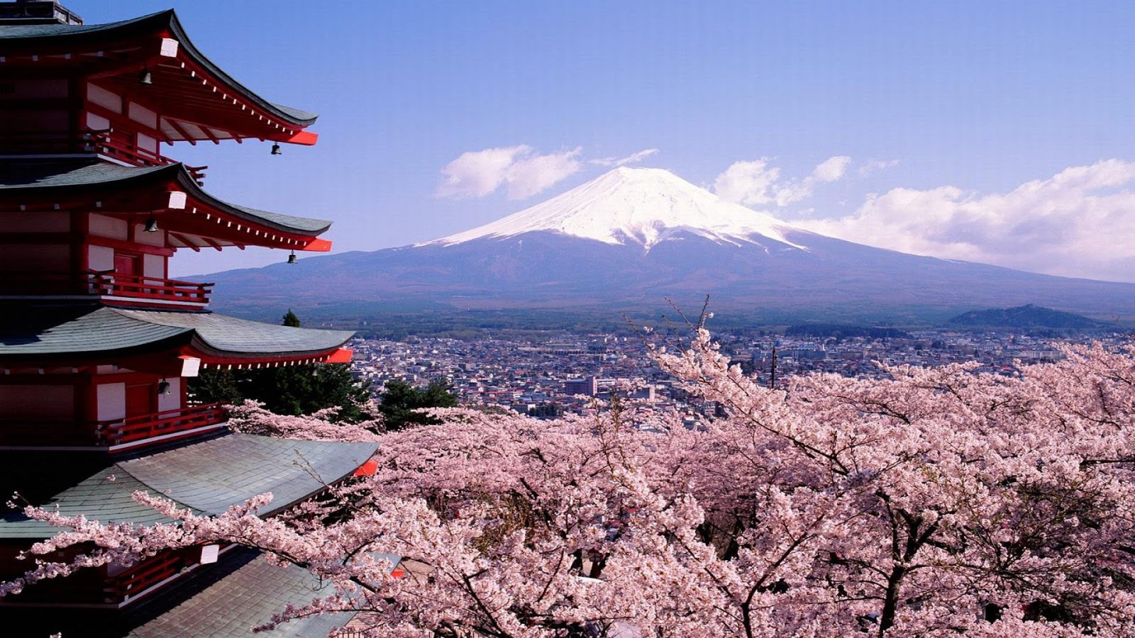 Backpacker-an Ke Jepang Selama 5 hari Tanpa Travel Tour? 10 Tips Berikut Wajib Dibaca! 1