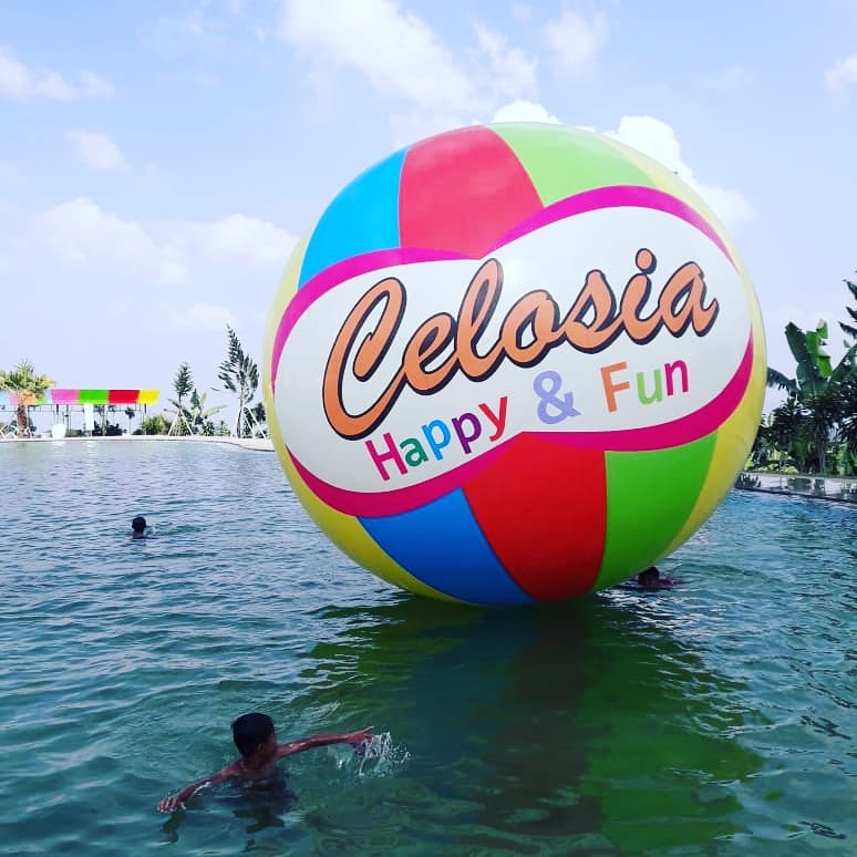 Yang Baru! Celosia Happy & Fun, Depannya Taman Bunga Celosia Bandungan Semarang 11