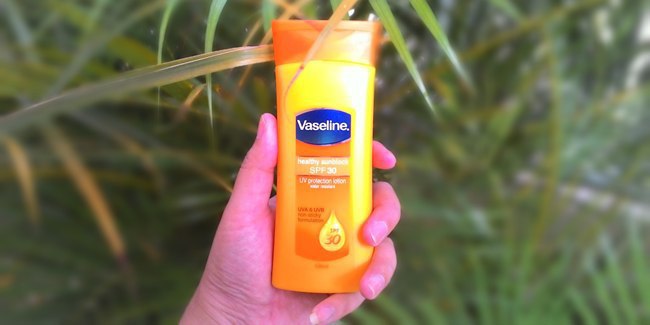 Menjelajah Pulau Komodo Ala Backpacker, Berani? Simak Tips Berikut Ini! 10 Menjelajah Pulau Komodo Ala Backpacker, Berani? Simak Tips Berikut Ini! 10