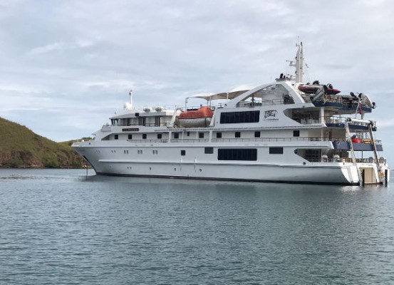 Menjelajah Pulau Komodo Ala Backpacker, Berani? Simak Tips Berikut Ini! 5 Menjelajah Pulau Komodo Ala Backpacker, Berani? Simak Tips Berikut Ini! 5