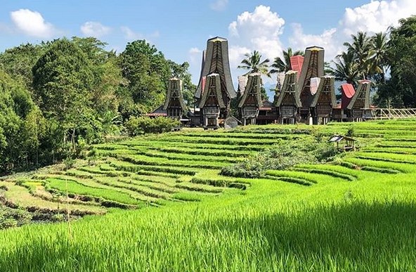 Menjelajahi Nilai Historis Lemo Toraja 3