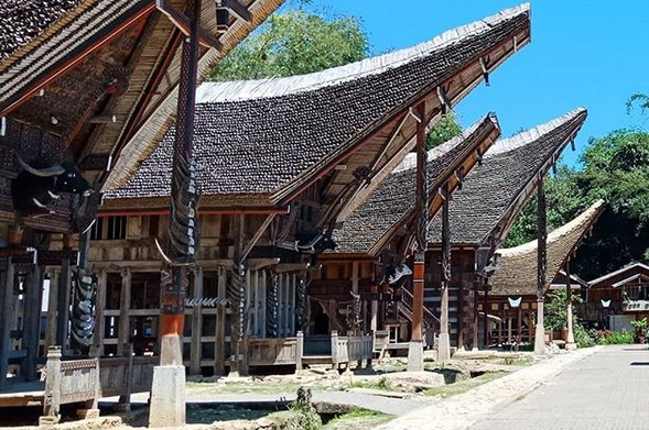 Menjelajahi Nilai Historis Lemo Toraja 8