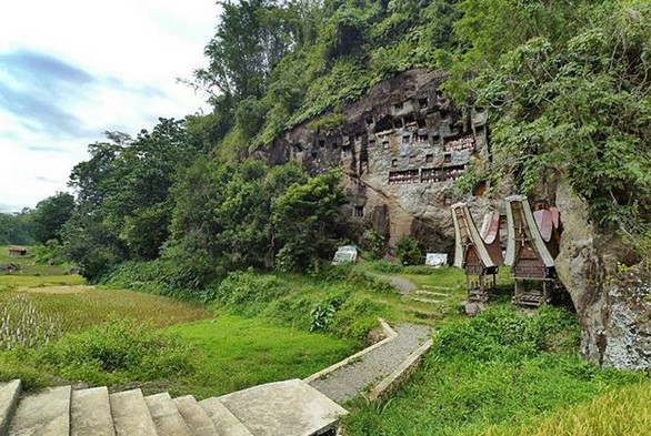 Menjelajahi Nilai Historis Lemo Toraja 9