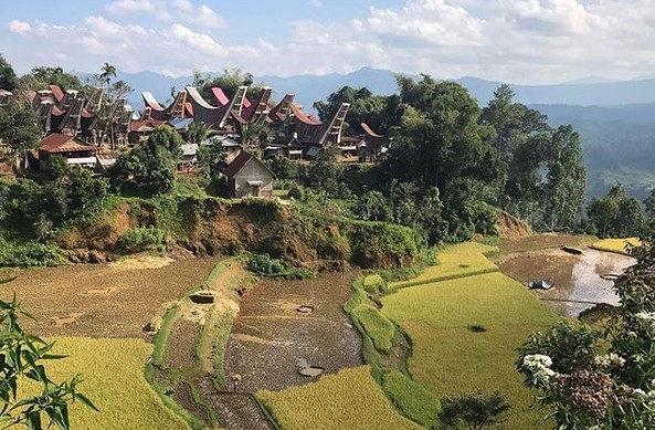 Limbong, Eloknya Oase di Dataran Tinggi Toraja Utara 2 Limbong, Eloknya Oase di Dataran Tinggi Toraja Utara 2