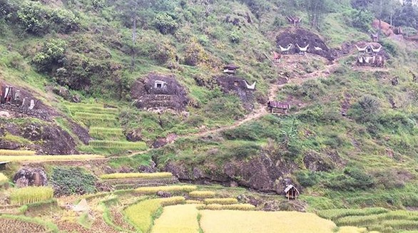 Limbong, Eloknya Oase di Dataran Tinggi Toraja Utara 3 Limbong, Eloknya Oase di Dataran Tinggi Toraja Utara 3