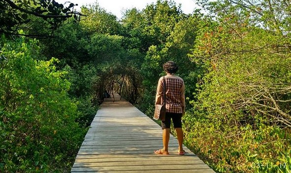 Ragam Keindahan dan Kisah Pantai Glagah Wangi di Pesisir Demak, Berapa Harga Tiket Masuknya? 9