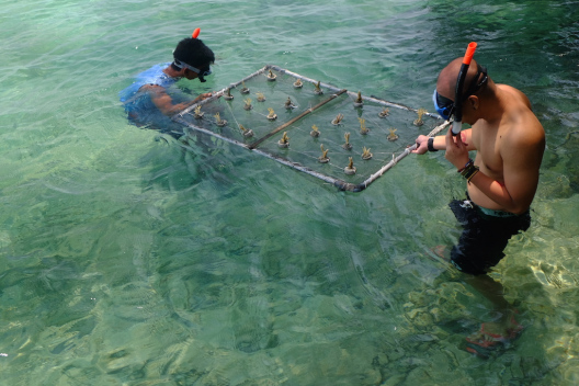 Bersantai di Pulau Macan Ala Backpacker, Berikut Tipsnya! 9