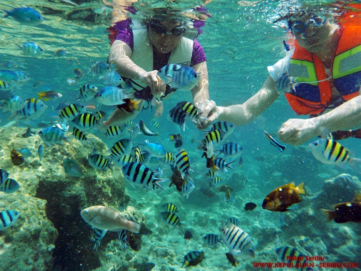 Bersantai di Pulau Macan Ala Backpacker, Berikut Tipsnya! 10