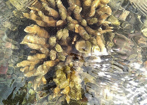 Pesona Wisata Pulau Gede Rembang Jawa Tengah 7 Pesona Wisata Pulau Gede Rembang Jawa Tengah 7