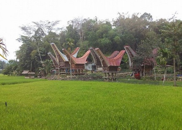 Tana Toraja, Tempat yang Pas untuk Mengenal Salah Satu Kekayaan Budaya Indonesia 2