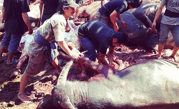 Tana Toraja, Tempat yang Pas untuk Mengenal Salah Satu Kekayaan Budaya Indonesia 4