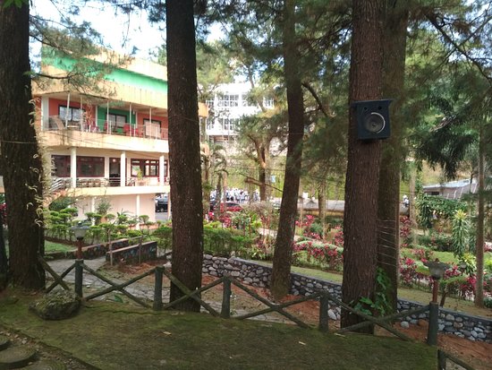 Daftar Rekomendasi Villa Nyaman di Malino Sulawesi Selatan, Harga Terjangkau Mulai Rp.250.000 2