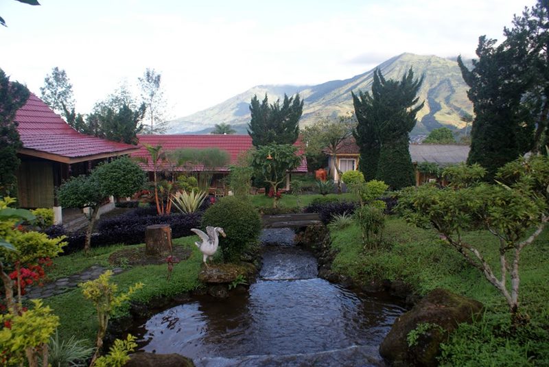 Daftar Rekomendasi Villa Nyaman di Sekitar Dieng Yang Harganya Murah Mulai Rp.250.000 7