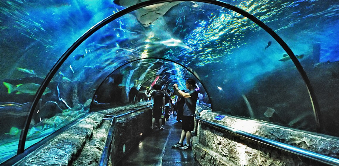 Daftar Kolam Renang di Ancol Jakarta Yang Menarik Untuk Dikunjungi dan Harga Tiketnya Terjangkau 9