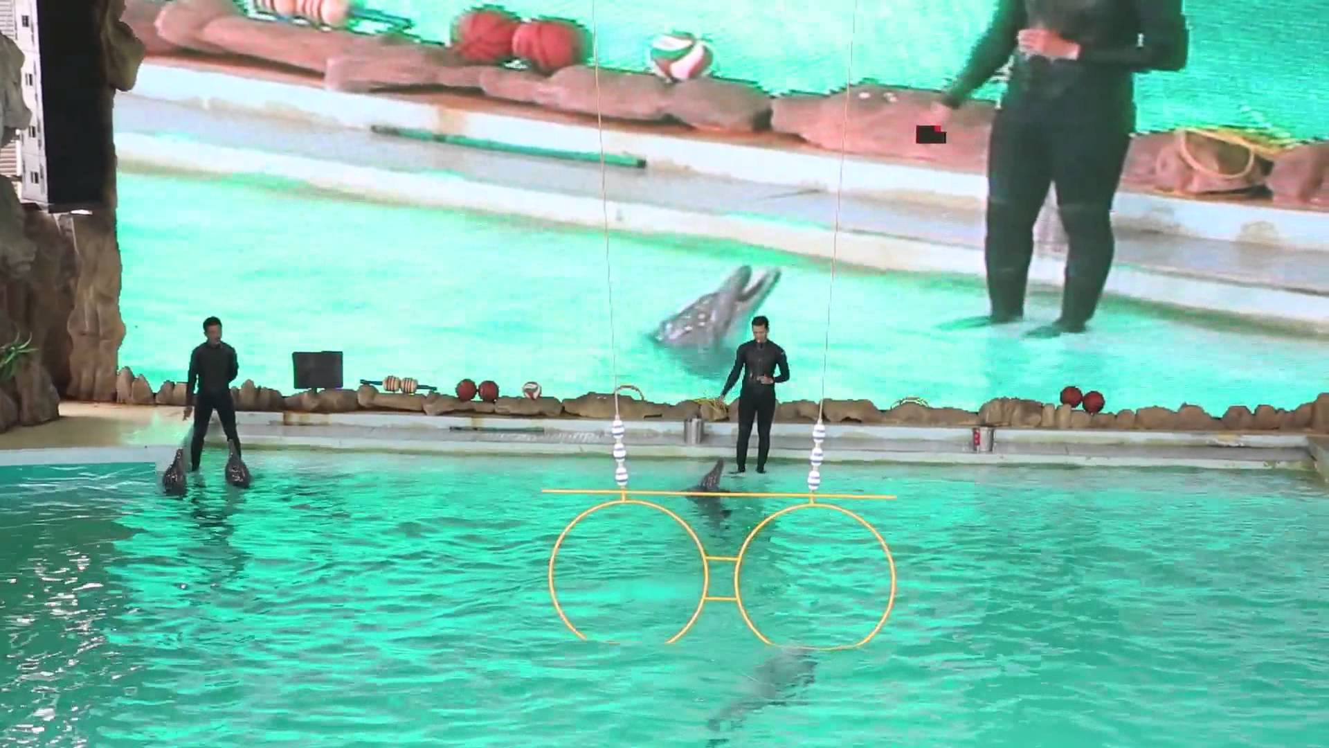 Daftar Kolam Renang di Ancol Jakarta Yang Menarik Untuk Dikunjungi dan Harga Tiketnya Terjangkau 5