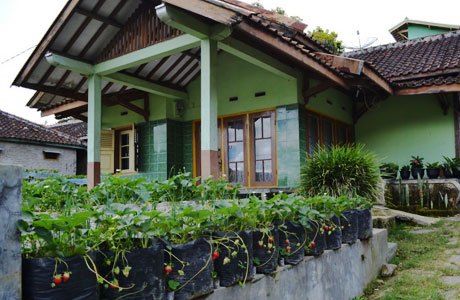15 Referensi Homestay Daerah Bandung Menawarkan Pemandangan Yang Indah dan Tentunya Murah Mulai 90 Ribu 10