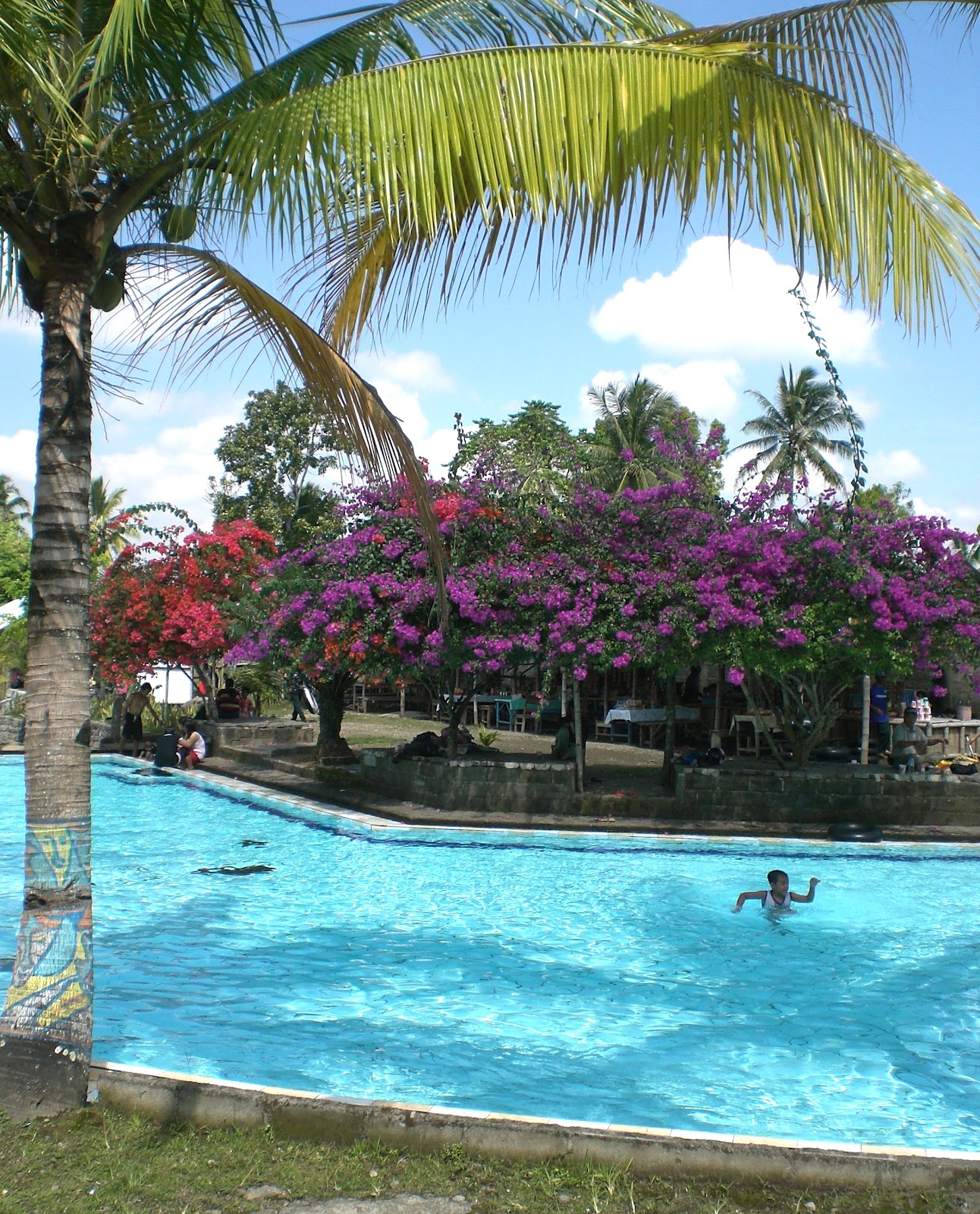 Deretan Daftar Pilihan Kolam Renang di Banyuwangi Yang Eksotis dan Berapa Harga Tiket Masuknya? 6 Deretan Daftar Pilihan Kolam Renang di Banyuwangi Yang Eksotis dan Berapa Harga Tiket Masuknya? 6