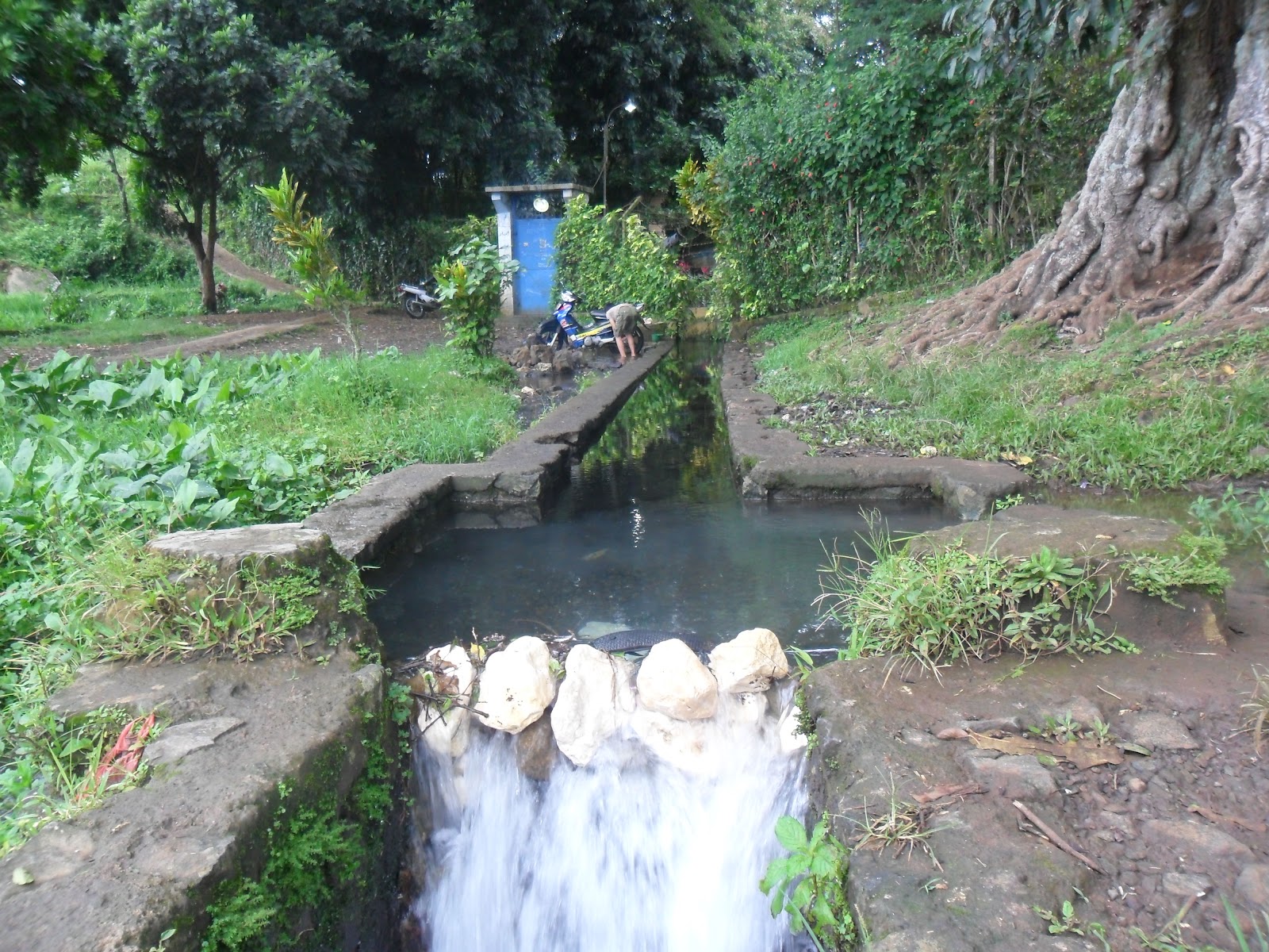10 Daftar Rekomendasi Kolam Renang di Cianjur Yang Bagus dan Harga Tiket Masuknya 5 10 Daftar Rekomendasi Kolam Renang di Cianjur Yang Bagus dan Harga Tiket Masuknya 5
