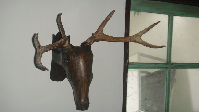 10 Rekomendasi Souvenir Khas di Daerah Kupang Yang Paling Unik dan Cantik Dengan Anyamannya 6 10 Rekomendasi Souvenir Khas di Daerah Kupang Yang Paling Unik dan Cantik Dengan Anyamannya 6