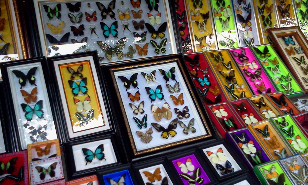 10 Daftar Pilihan Cinderamata Khas Daerah Makassar Yang Cantik Ini Wajib Untuk Kalian Bawa Pulang! 9 10 Daftar Pilihan Cinderamata Khas Daerah Makassar Yang Cantik Ini Wajib Untuk Kalian Bawa Pulang! 9