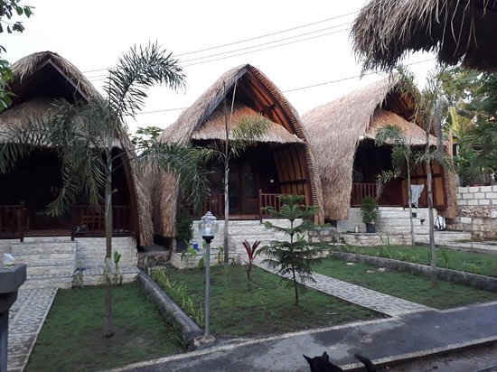 8 Villa di Nusa Penida Bali, Cocok Untuk Akomodasi Murah Mulai Rp.180.000 3
