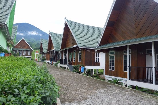 Beberapa Rekomendasi Villa di Pagaralam Yang Harganya Murah Mulai Dari Rp.750.000 1