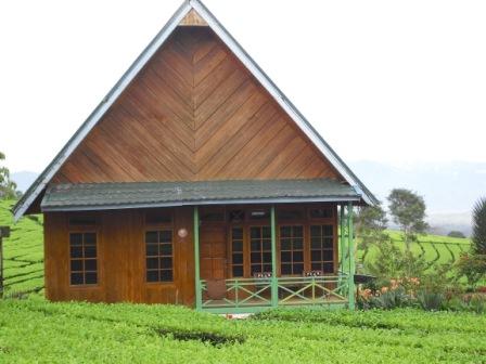 Beberapa Rekomendasi Villa di Pagaralam Yang Harganya Murah Mulai Dari Rp.750.000 7