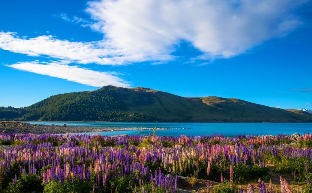 Paket wisata new zealand tour murah liburan hobbit july december harga 2025 australia golden rama hobbiton ke perjalanan panorama