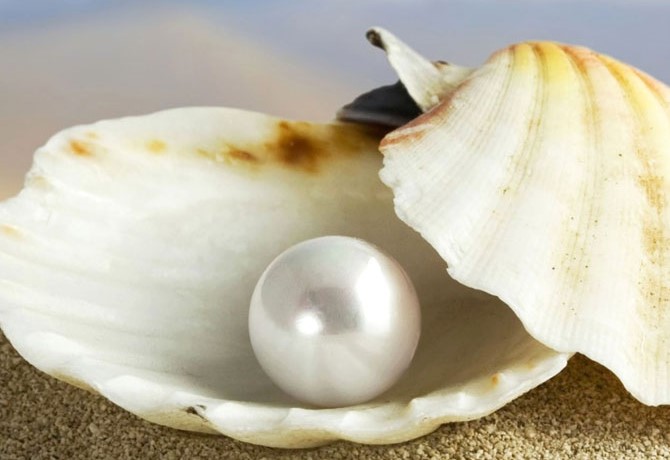 10 Daftar Pilihan Souvenir Khas Daerah Papua Yang Sangat Unik dan Cantik Wajib Dibawa Pulang 6 10 Daftar Pilihan Souvenir Khas Daerah Papua Yang Sangat Unik dan Cantik Wajib Dibawa Pulang 6