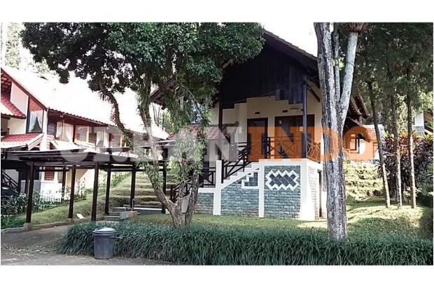 Rekomendasi Villa Mewah di Surabaya, Harga Termurah Rp.249.000 Per Malam 7 Rekomendasi Villa Mewah di Surabaya, Harga Termurah Rp.249.000 Per Malam 7