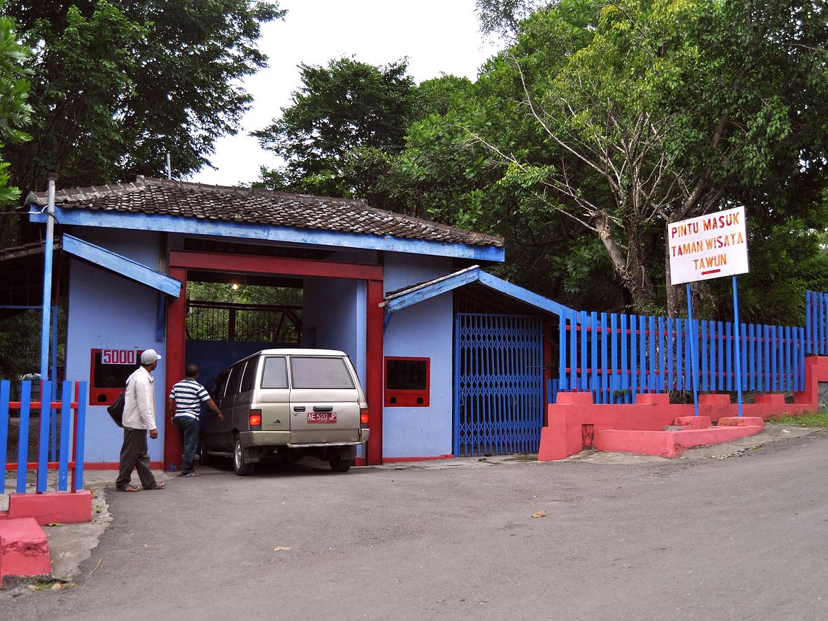 Melihat Ribuan Bulus di Taman Wisata Tawun Ngawi 10 Melihat Ribuan Bulus di Taman Wisata Tawun Ngawi 10