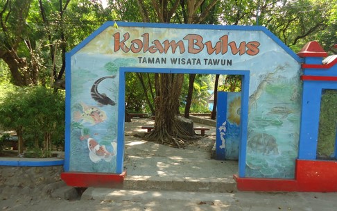 Melihat Ribuan Bulus di Taman Wisata Tawun Ngawi 5 Melihat Ribuan Bulus di Taman Wisata Tawun Ngawi 5