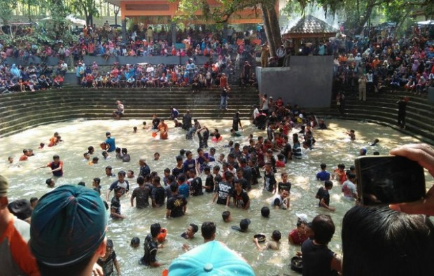 Melihat Ribuan Bulus di Taman Wisata Tawun Ngawi 3 Melihat Ribuan Bulus di Taman Wisata Tawun Ngawi 3