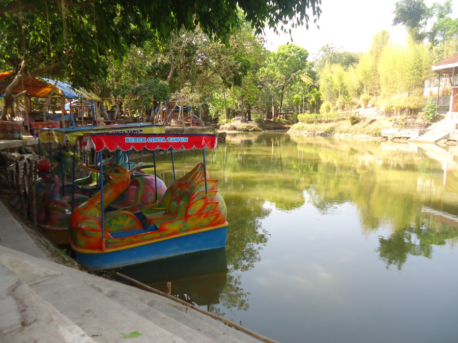 Melihat Ribuan Bulus di Taman Wisata Tawun Ngawi 7 Melihat Ribuan Bulus di Taman Wisata Tawun Ngawi 7