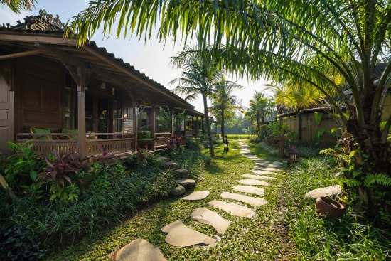 Daftar Rekomendasi Villa di Ubud Dengan Pemandangan Indah Harganya Mulai Rp.719.000 2 Daftar Rekomendasi Villa di Ubud Dengan Pemandangan Indah Harganya Mulai Rp.719.000 2