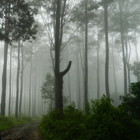25 Tempat Wisata di Jepara Yang Terkenal Bagus Untuk Keluarga, Nomer 15 Lagi Hits 24