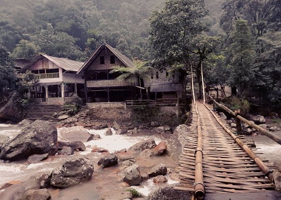 15 Penginapan Murah di Bogor Dekat Tempat Wisata Harga Mulai Dari 100 Ribuan 8