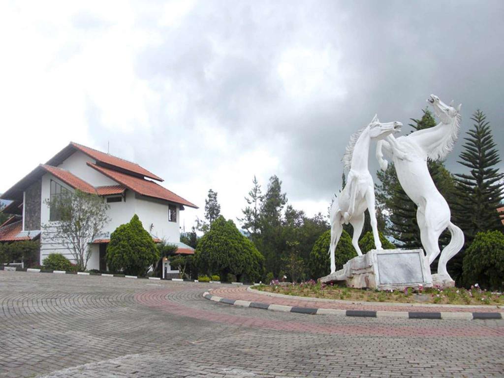 15 Referensi Resort Daerah Puncak Dengan Suasana Sejuk dan Pamandangan Yang Indah, Murah Mulai Rp.202.738 1